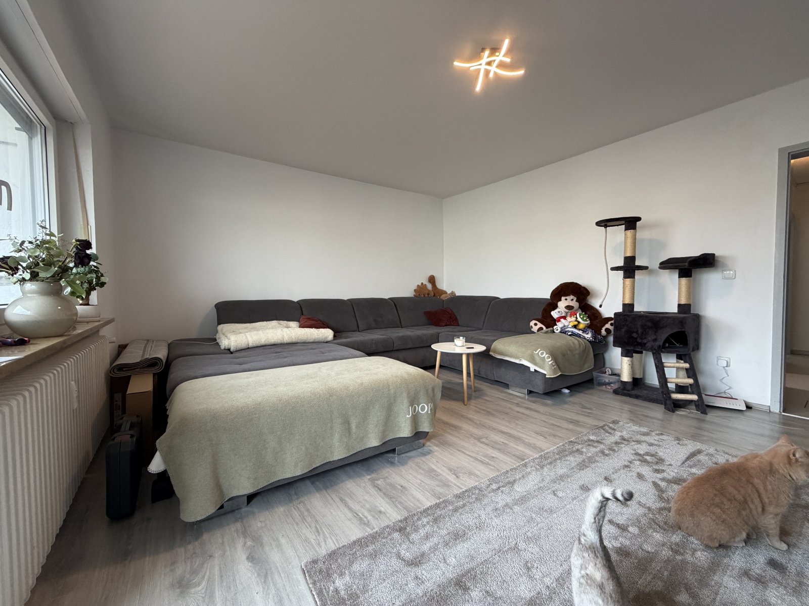 +++Helle 2-Zi.-Whg. mit Loggia und TG-Platz +++