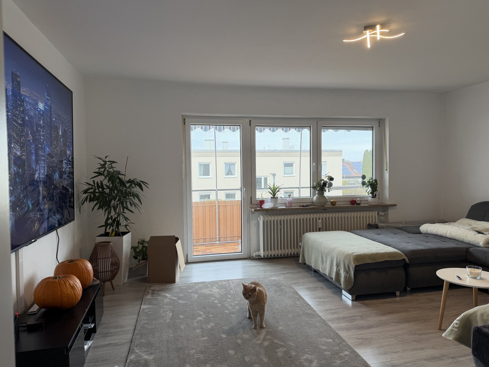 +++Helle 2-Zi.-Whg. mit Loggia und TG-Platz +++