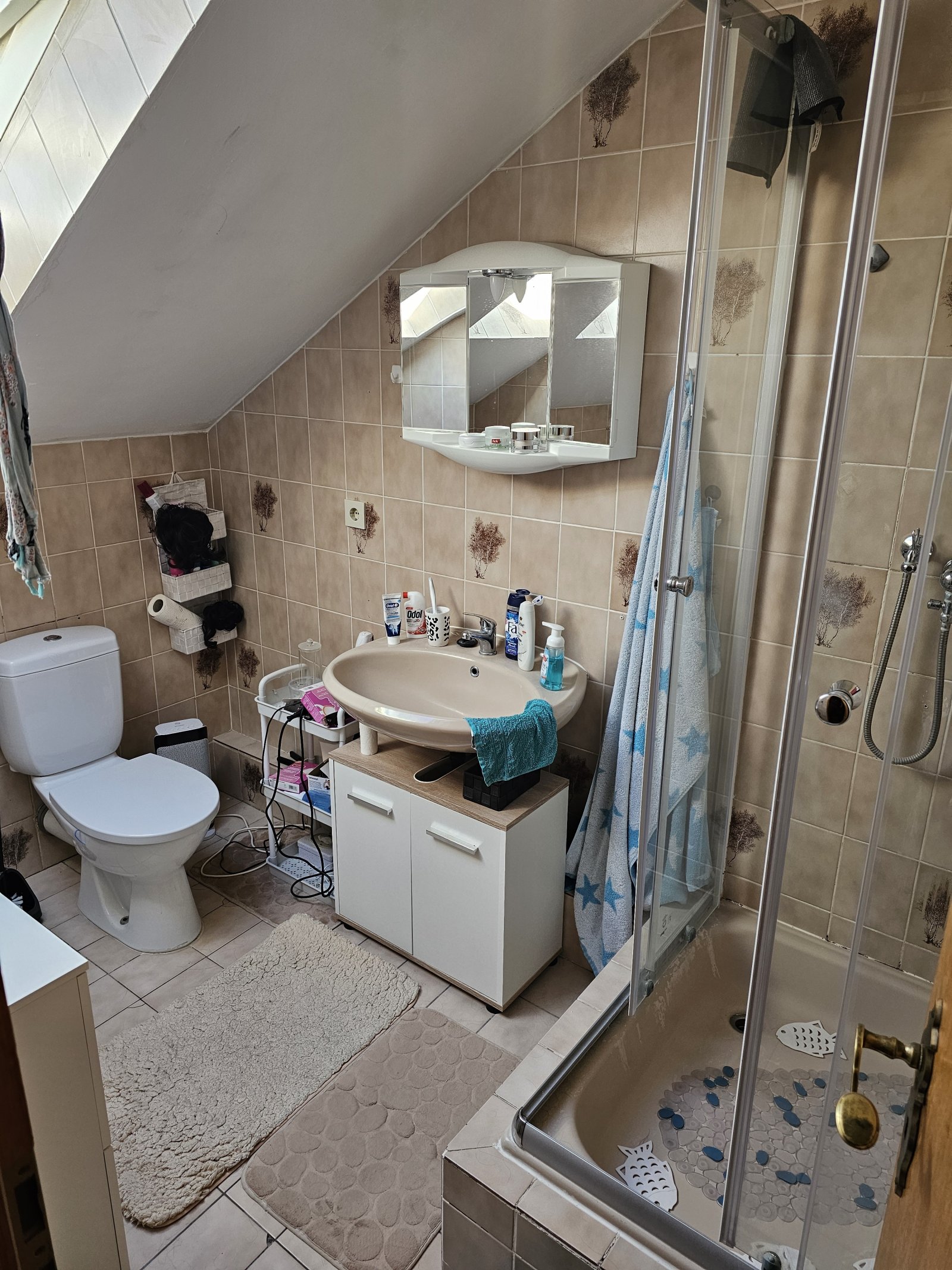 Dusche DG