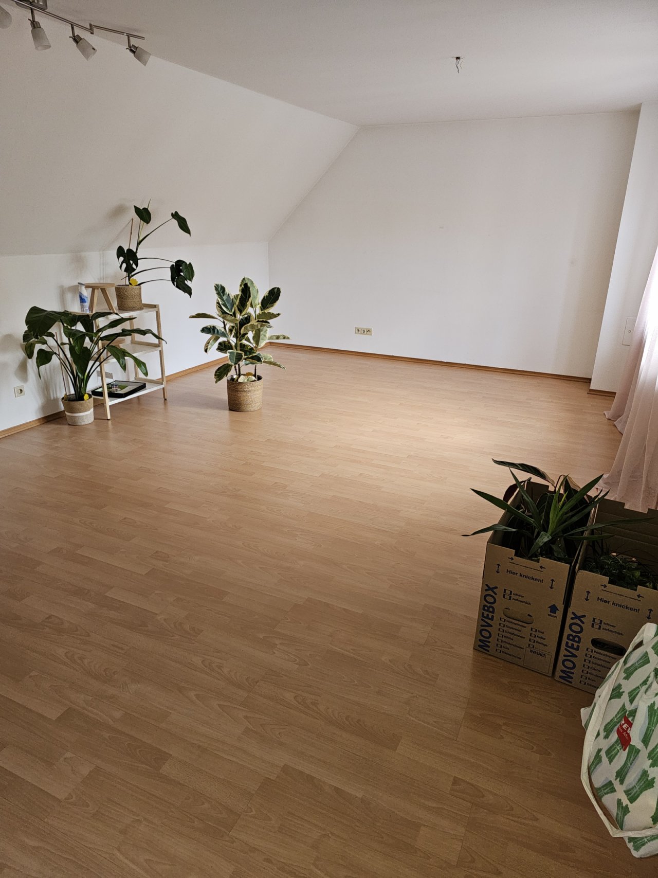 Wohnraum