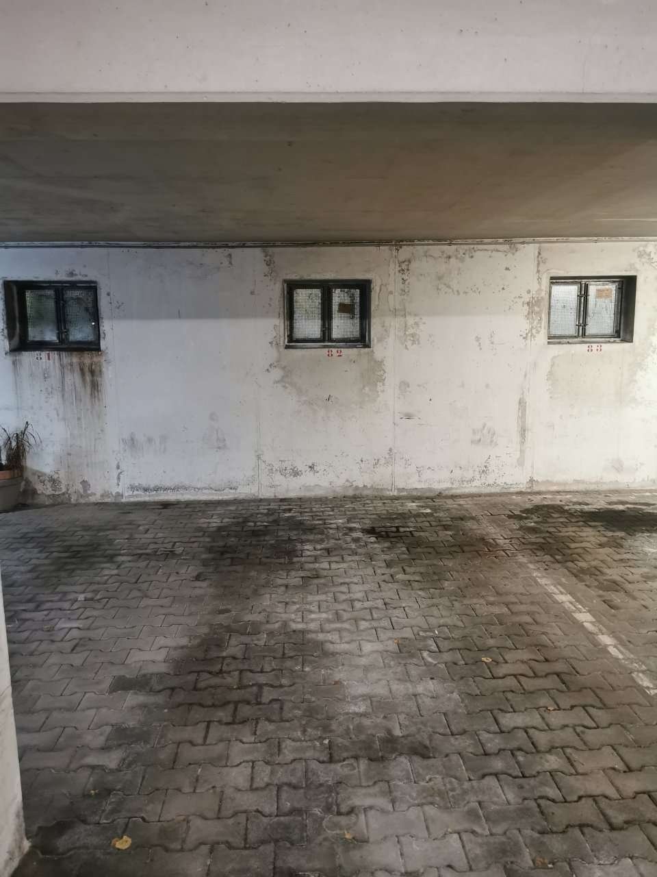 TG Platz