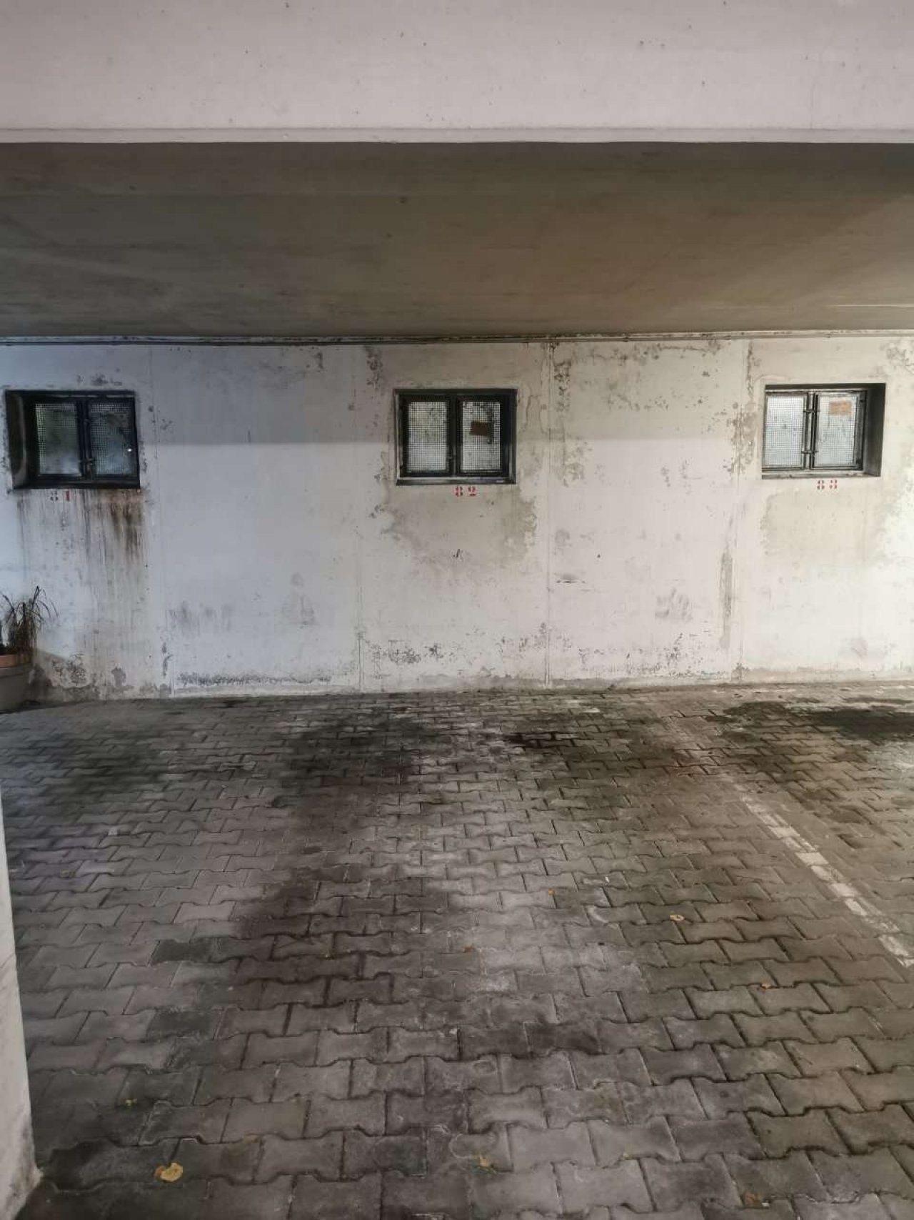 TG Platz